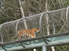 -宁波野生动物园
