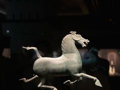 -甘肃省博物馆