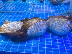 -必点蒸汽海鲜(止锚湾店)