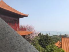 -南沙天后宫景区