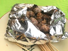 锡纸焗花螺-盛港湾海鲜食府(黄沙店)