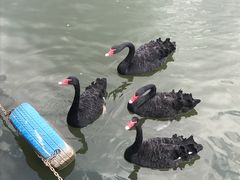 -无锡动物园·太湖欢乐园