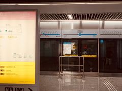 -大龙山(地铁站)