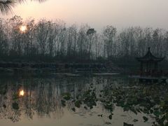 -合肥滨湖国家森林公园