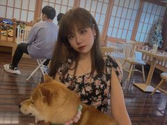 -豆柴町-柴犬主题狗咖(红鼎国际C座店)