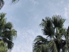 -重庆海昌加勒比海水世界