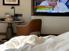 -北京东三环希尔顿逸林酒店