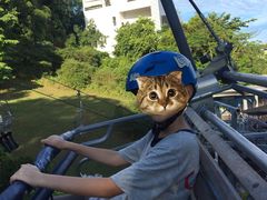 -圣淘沙天际线斜坡滑车