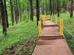 -塞罕坝国家级自然保护区