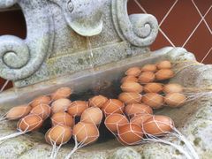 -金汤湾海水温泉度假酒店