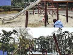 -成飞公园