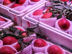 -菜园坝水果市场