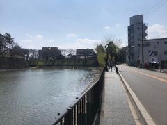 -名古屋城
