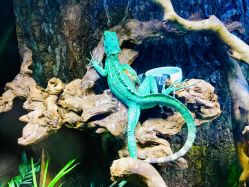 -酷嗒动物文化乐园(cutezoo西溪乐天城店)