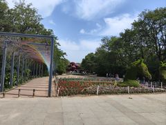 -沈阳植物园