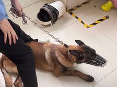 -宠颐生宠物医院·骨外科·犬猫全科诊疗中心(池州店)