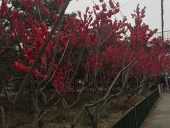 -楊家一锅(沙阳路店)