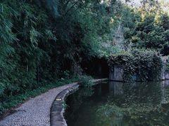 -燕晗山郊野公园