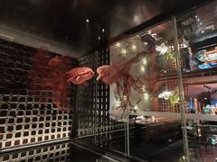 -莲花餐饮(高新店)