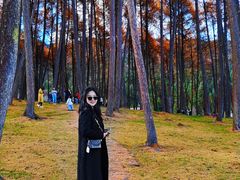 -硗碛藏寨·神木垒景区