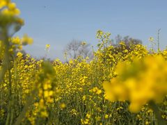 -盘龙城国家考古遗址公园