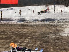-济南卧虎山滑雪场