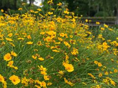 -上海鲜花港