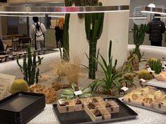 -OUR Bakery(SKP-S店)