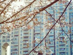 -西北湖绿化广场