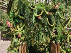 -爱情山风景区