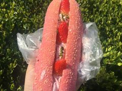 -多乐之日(田林东路店)