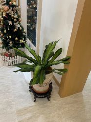 -天津伊美尔医疗整形美容专科医院