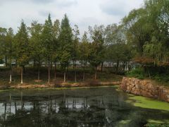 -白马涧龙池景区