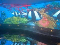 -唐宫足道·SPA·住宿24H会所(木渎店)