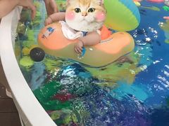 -蓝鲸奇亲子游泳俱乐部