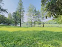 -南宁良凤江国家森林公园