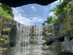 -新加坡飞禽公园