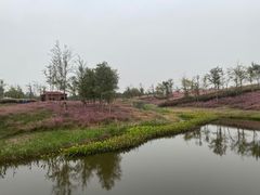 -上海滨江森林公园