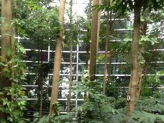 -吉隆坡国际机场