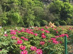 -幕燕滨江·长江观音景区