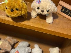 -西安电影制片厂