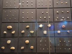 -北京周口店北京人遗址博物馆