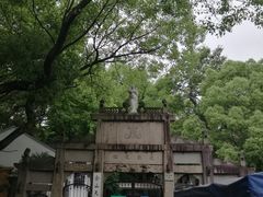 -上海佘山国家森林公园西佘山园