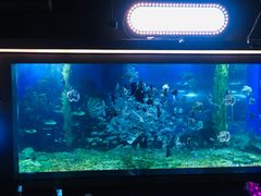 -顺德南宏海立方海洋公园