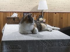 -隅cafe(傅厚岗店)