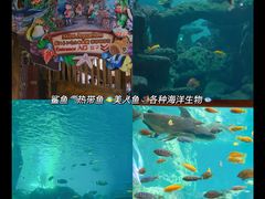-长鹿旅游休博园