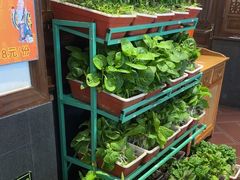 -天和晟烤鸭店(玉泉西街店)