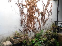 -惠山国家森林公园