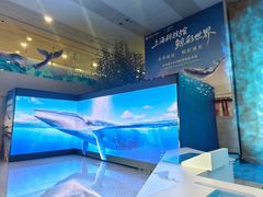 -上海浦东国际机场-T2航站楼
