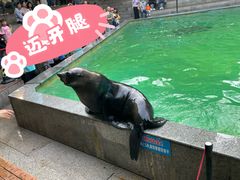 -宋宴(虎跑店)
